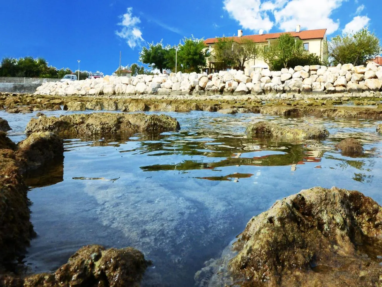 Apartment Lucilla-1 Umag